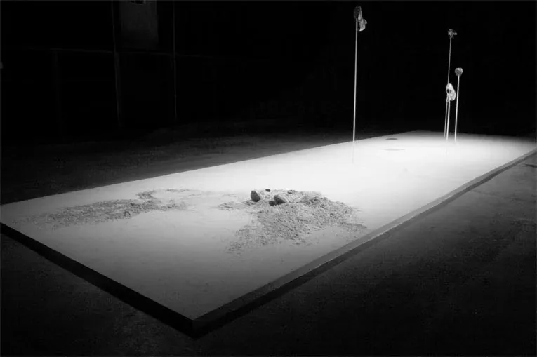 Installation Nuit Blanche, Pierre Larauza.