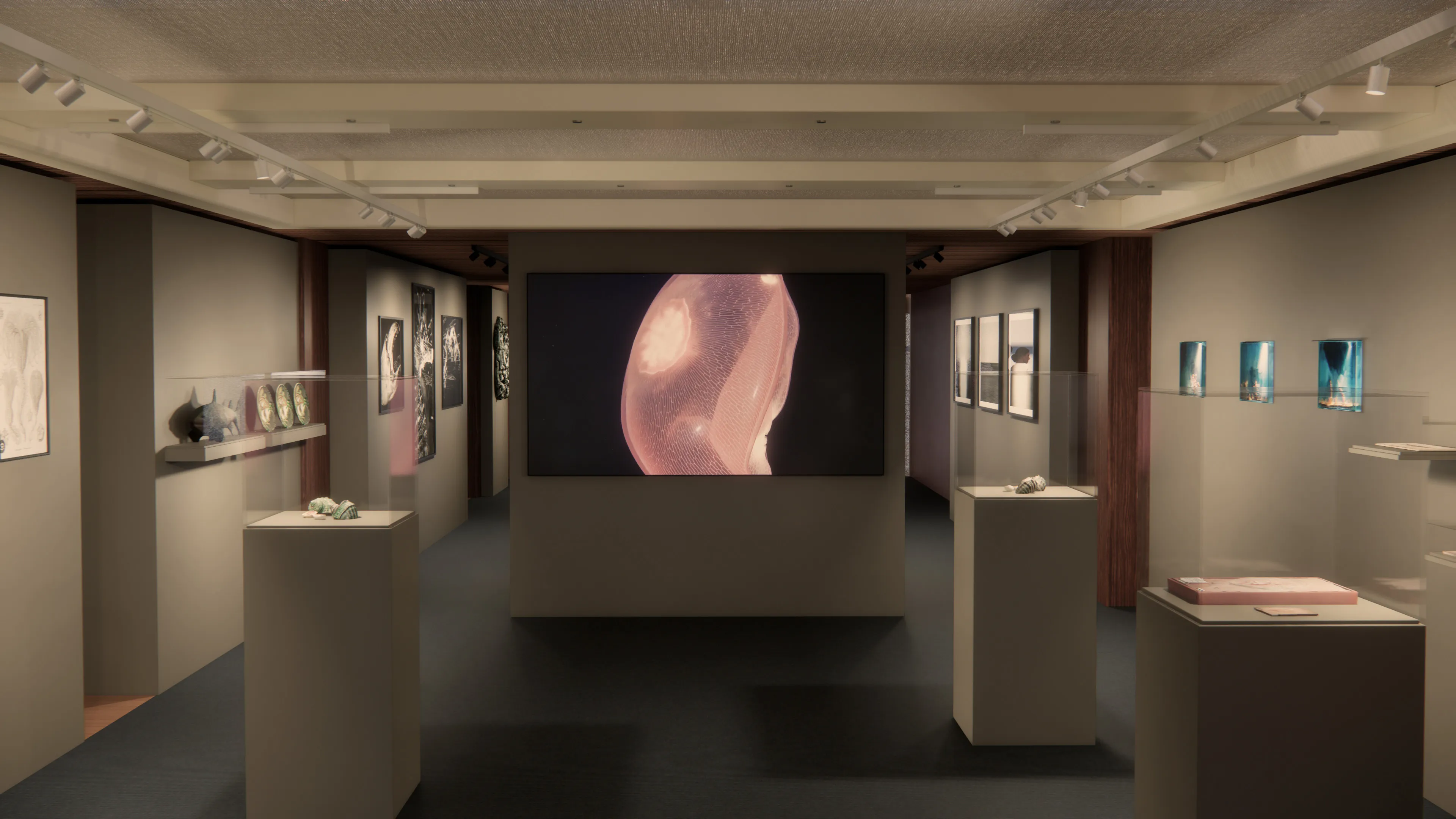 Art Explora Festival implantation simulation, Barcelona.